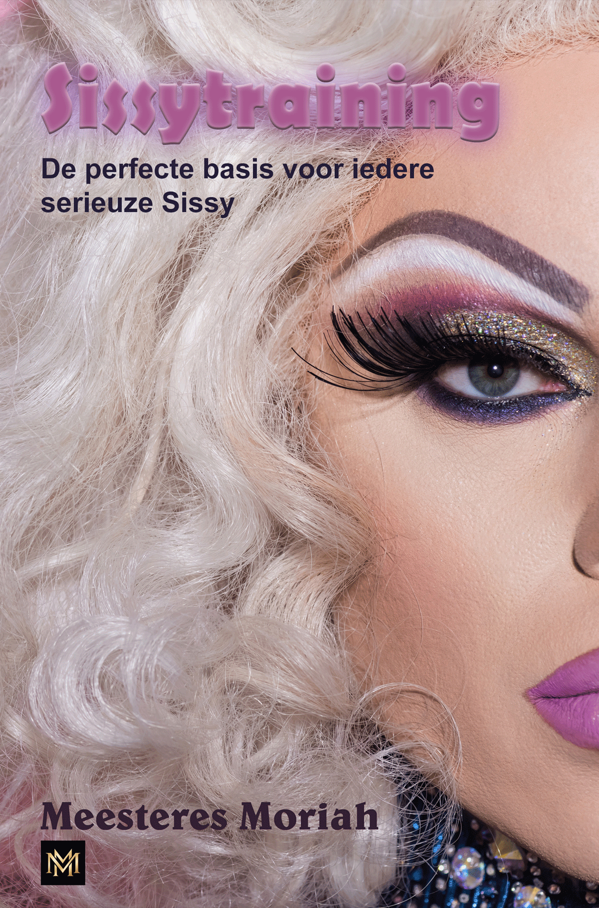 Sissytraining (Paperback – NL)