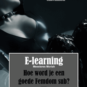 Hoe word je een goede Femdomsub?