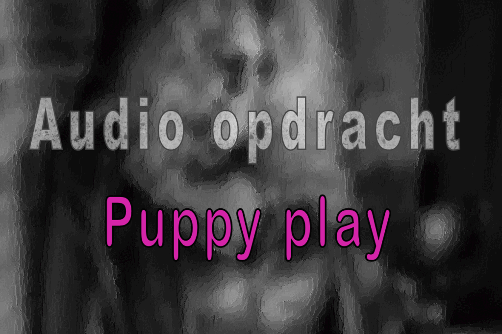 Audio opdracht: Puppyplay