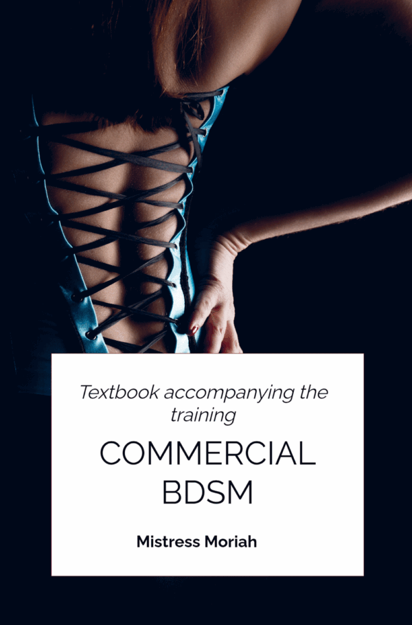 Commercial BDSM - Textbook accompanying the workshop (Paperback)