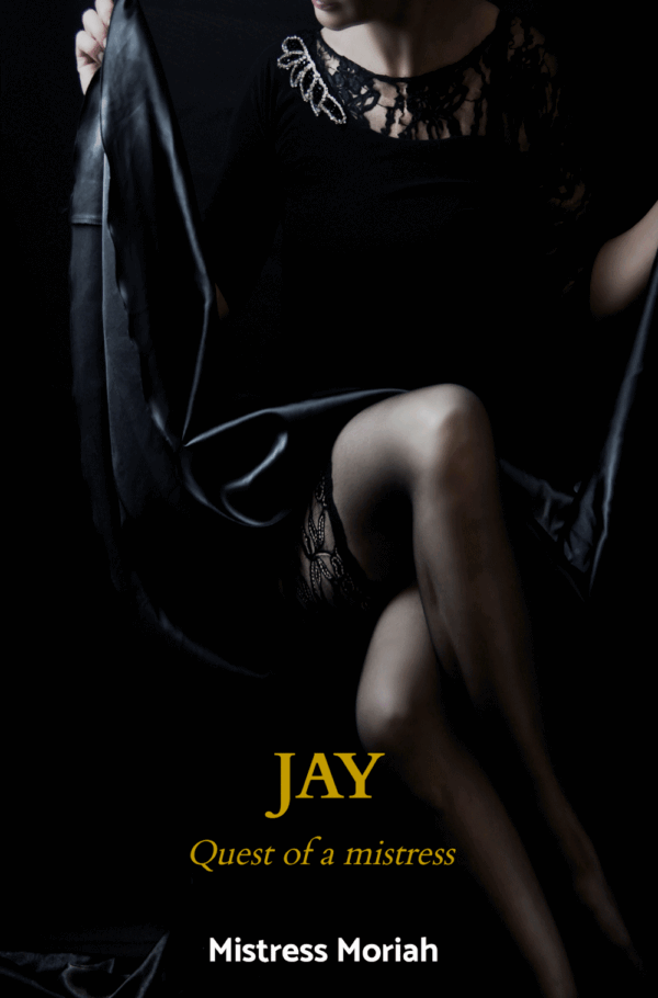 Jay, quest of a mistress (Paperback)