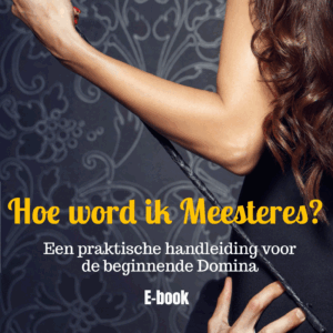 Hoe word ik Meesteres (E-book)